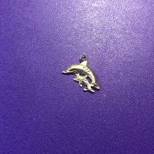 14K dolphin charm